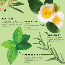 Load image into Gallery viewer, Face Blemish Stick w/ Peppermint & Tea Tree for Acne