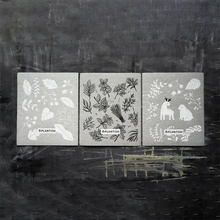 Load image into Gallery viewer, Herbal Remedy - Swedish Sponge Cloth