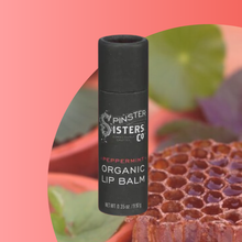 Load image into Gallery viewer, Organic Peppermint Beeswax Lip Balm in Paper Tube