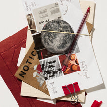 Load image into Gallery viewer, Toronto Shampoo Bar - tonka & birch for dry hair