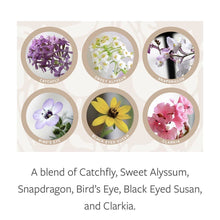 Load image into Gallery viewer, Punch Buggy Christmas Plantable Xmas Card: Wildflowers
