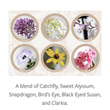 Load image into Gallery viewer, Season&#39;s Greetings Plantable Xmas Card: Wildflowers
