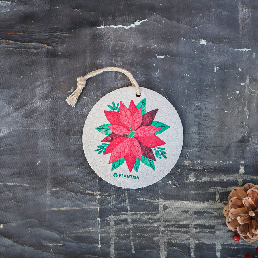 Poinsettia - Pop up Sponge