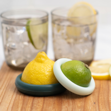 Load image into Gallery viewer, Food Huggers Citrus Saver Forest Mint | Two Pack
