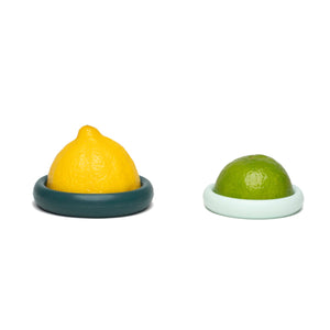 Food Huggers Citrus Saver Forest Mint | Two Pack