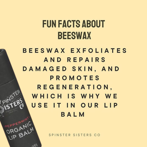 Organic Peppermint Beeswax Lip Balm in Paper Tube