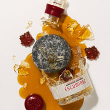 Load image into Gallery viewer, Toronto Shampoo Bar - tonka &amp; birch for dry hair
