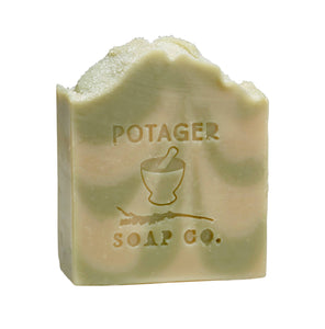 Bar Soap | Sugared Balsam