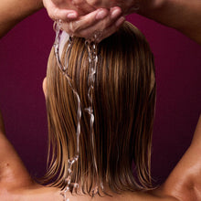 Load image into Gallery viewer, ALINE Hair Oil - taming system to smooth and add shine
